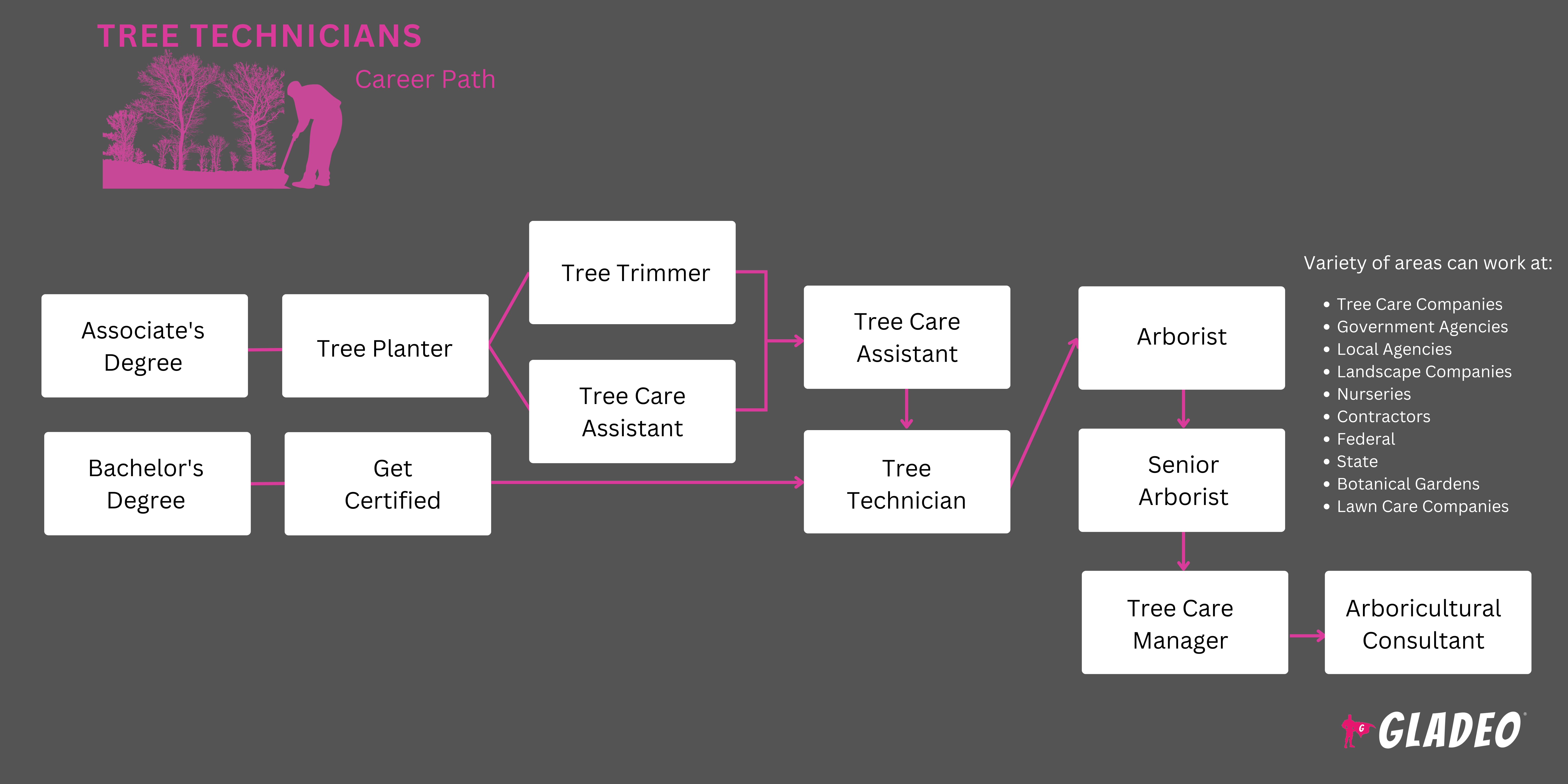 树木技术员路线图