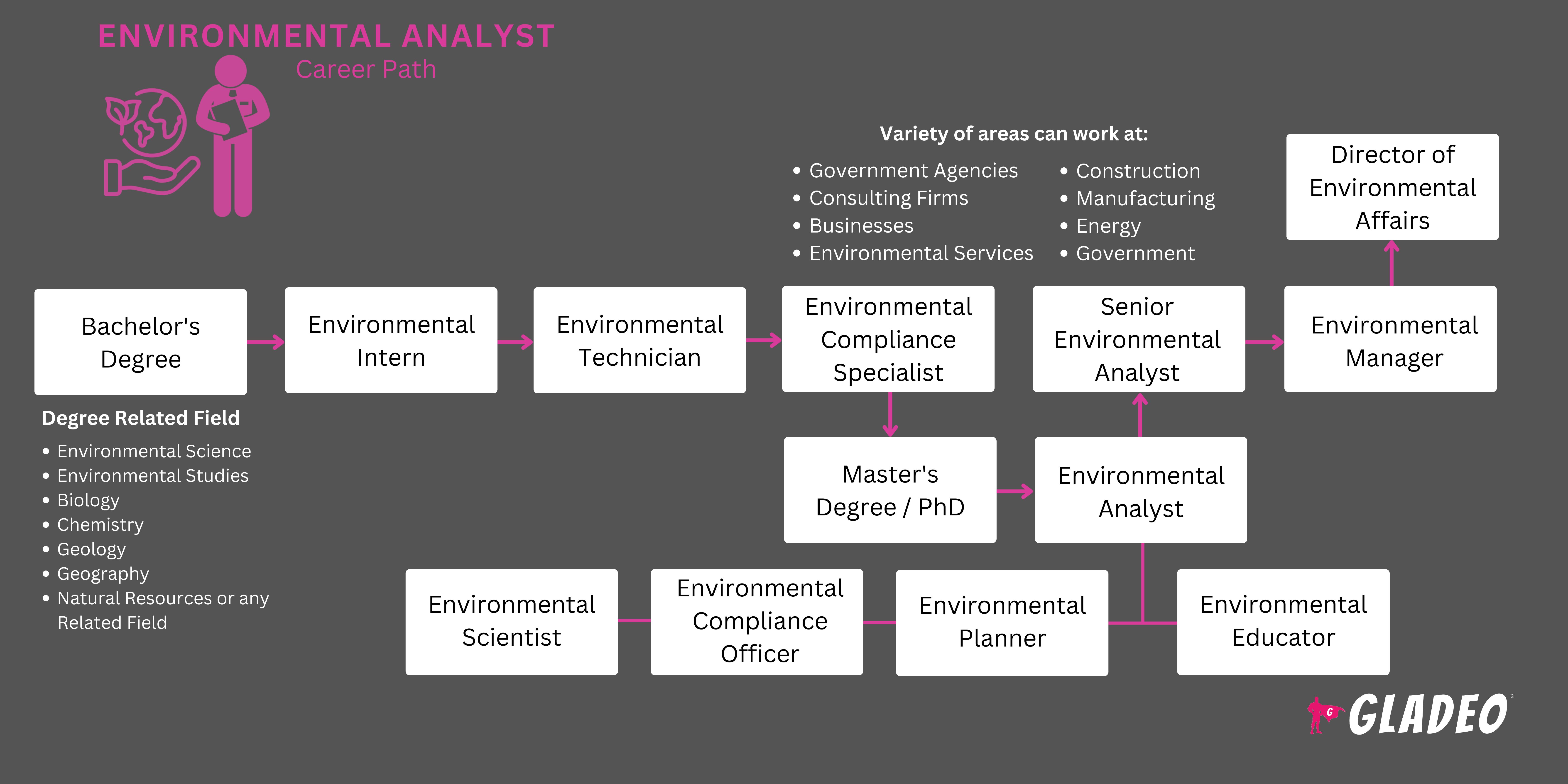 环境分析师路线图