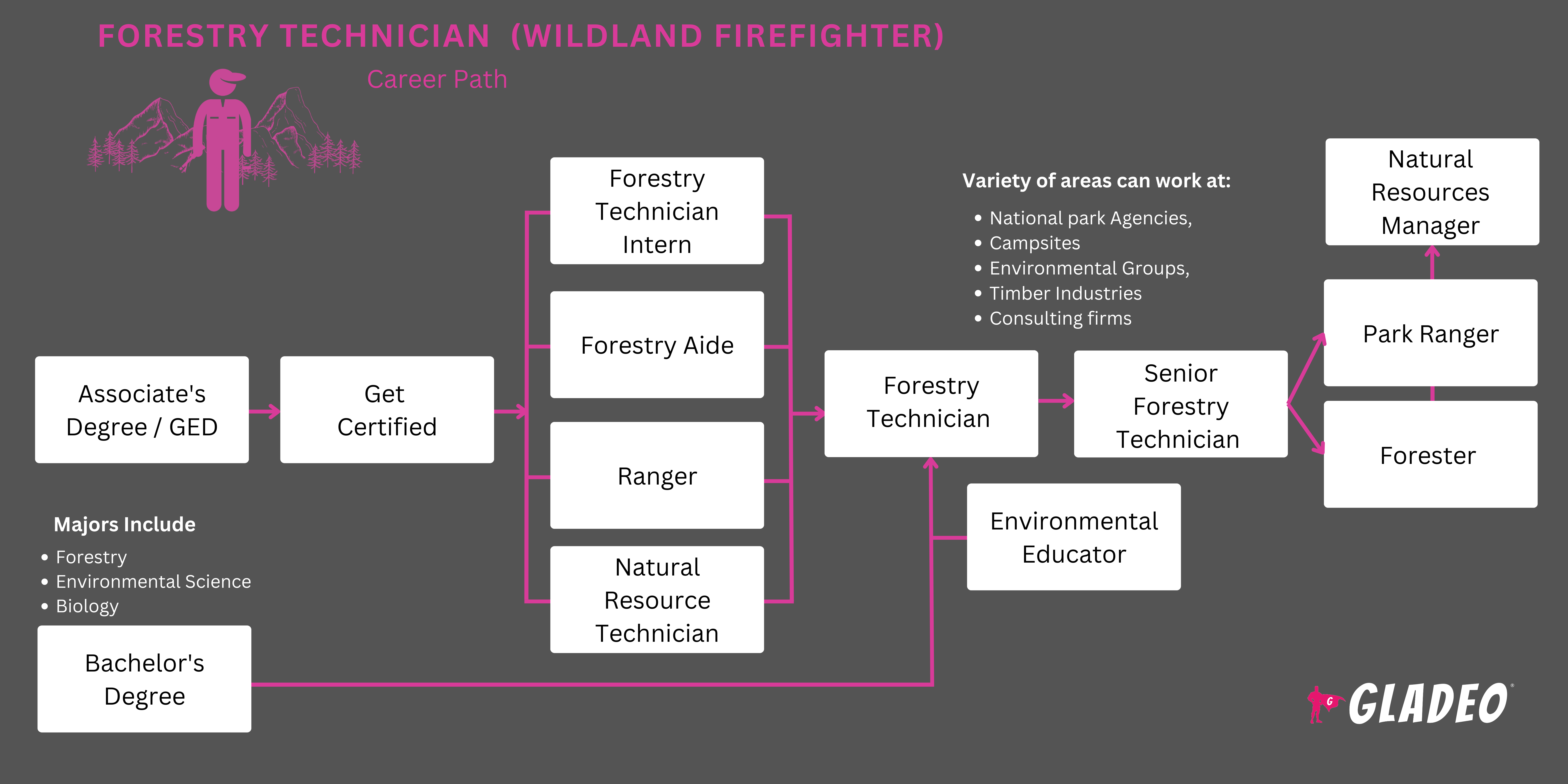 林业技术员（野外消防员）路线图